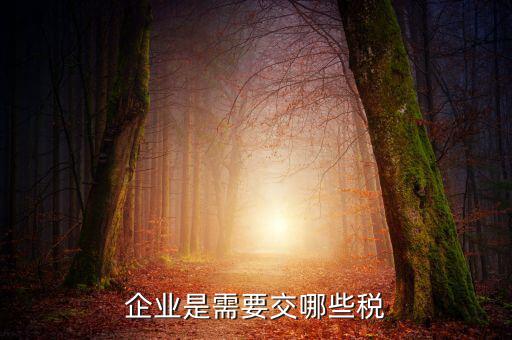 公司要交什么稅，企業(yè)是需要交哪些稅