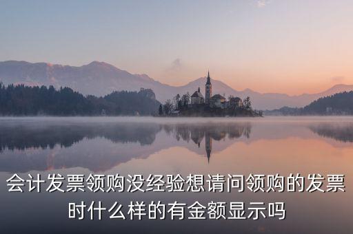 發(fā)票領(lǐng)用單是什么樣的，會計發(fā)票領(lǐng)購沒經(jīng)驗想請問領(lǐng)購的發(fā)票時什么樣的有金額顯示嗎