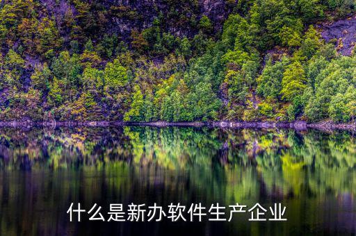 什么叫新辦企業(yè)，何為新辦企業(yè)的在正式經(jīng)營開始日