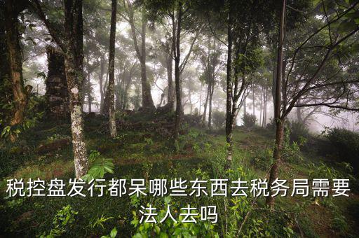 辦理稅控盤去什么地方，稅控盤發(fā)行都呆哪些東西去稅務(wù)局需要法人去嗎