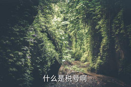 無證合一的稅號是什么意思，什么叫稅號