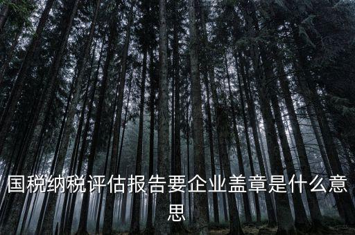 稅務(wù)國別報告是什么意思，國稅納稅評估報告要企業(yè)蓋章是什么意思