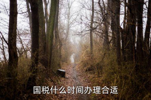國稅局申請什么時候好，國稅什么時間辦理合適