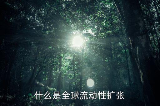 什么叫非居民風(fēng)險(xiǎn)，為什么歐洲央行負(fù)債資金來源于非居民