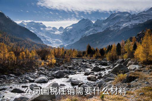 公司注銷(xiāo)國(guó)稅需要什么資料，公司國(guó)稅注銷(xiāo)需要什么材料