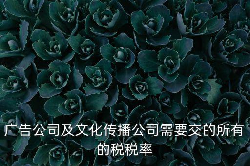 廣告公司需要交什么稅，廣告公司及文化傳播公司需要交的所有的稅稅率