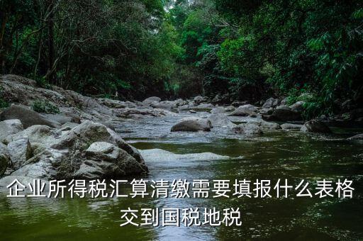 匯算清繳填寫什么表格，請(qǐng)教關(guān)于企業(yè)所得稅匯算清繳中需要填寫的表格的一些問題
