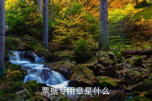 發(fā)票專用章上都有什么，發(fā)票長(zhǎng)條章上面都有什么內(nèi)容