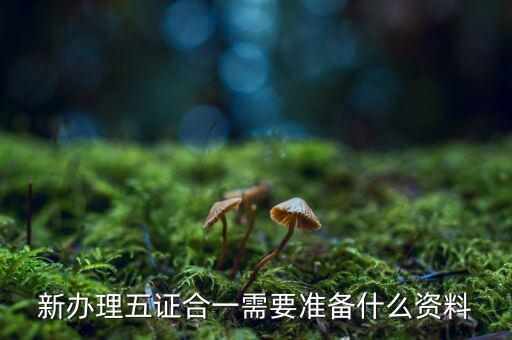 稅務(wù)五證合一需要什么資料，五證合一后稅務(wù)變更需要什么資料