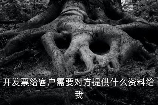 開票需要對方提供什么資料嗎，開發(fā)票給客戶需要對方提供什么資料給我