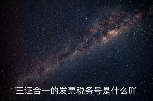 三證合一以后稅號是什么，三證合一的發(fā)票稅務(wù)號是什么吖