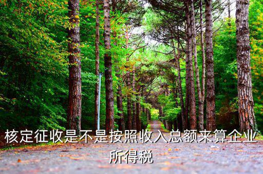 核定征收是按什么征收，什么是核定征收