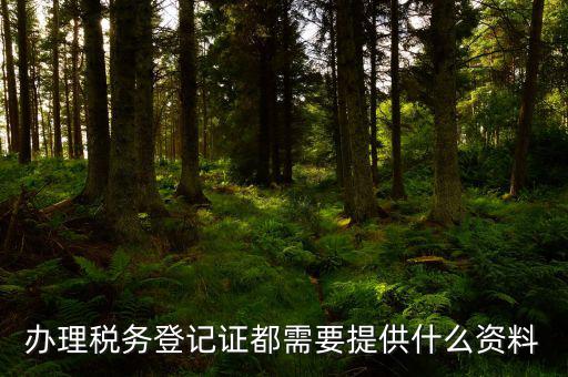 辦理稅務(wù)登記需要什么資料，辦理稅務(wù)登記證都需要提供什么資料