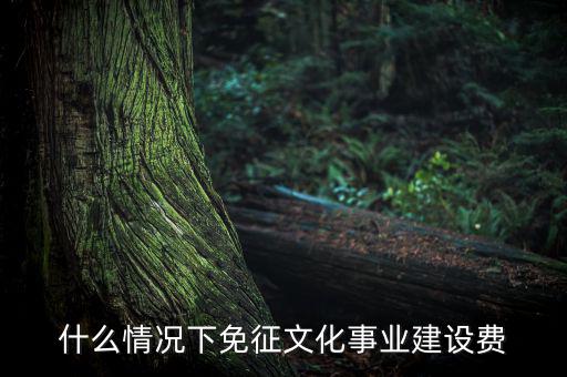 什么叫文化建設(shè)費(fèi)，文化建設(shè)事業(yè)費(fèi)