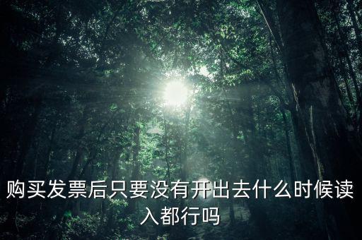 購(gòu)買發(fā)票后只要沒(méi)有開(kāi)出去什么時(shí)候讀入都行嗎