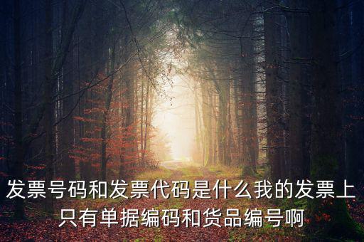 發(fā)票代碼指什么地方，增值稅普通發(fā)票的12位發(fā)票代碼在什么位置