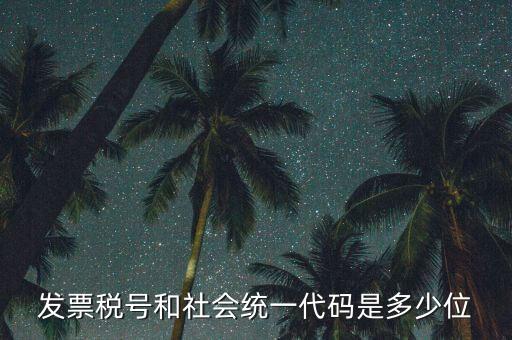 發(fā)票統(tǒng)一社會(huì)信用代碼是什么，現(xiàn)在開發(fā)票要的社會(huì)信用代碼是誰的代碼