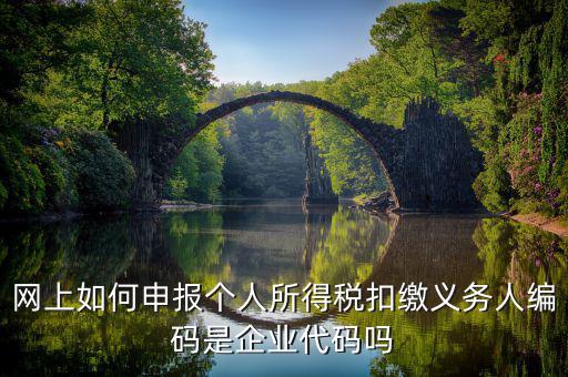 江西省個(gè)稅代扣系統(tǒng)的編碼是什么，網(wǎng)上如何申報(bào)個(gè)人所得稅扣繳義務(wù)人編碼是企業(yè)代碼嗎