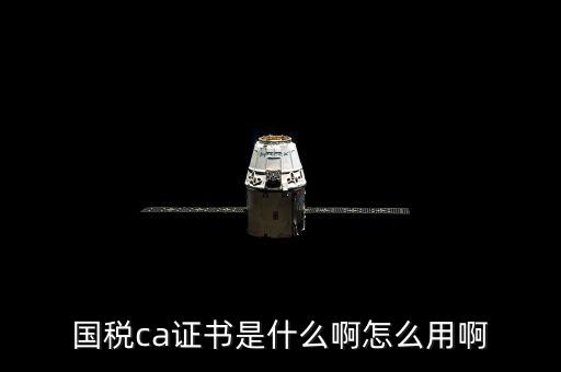 國稅的ca證書是什么意思，CA證書是什么東西包括pfx cert么