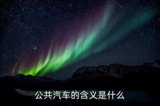 公共汽電車輛是什么，公共汽車的含義是什么