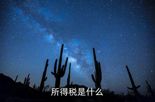 什么是額外所得稅，所得稅是什么
