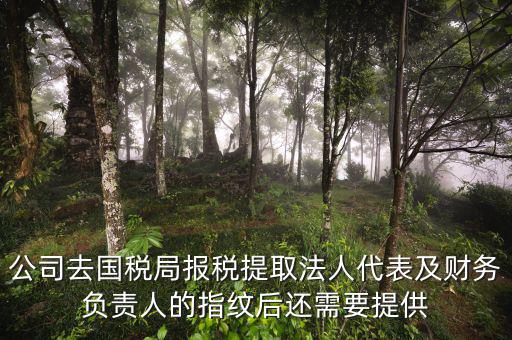公司去國稅局報(bào)稅提取法人代表及財(cái)務(wù)負(fù)責(zé)人的指紋后還需要提供