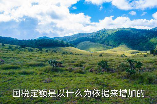 為什么納稅定額，什么是定額納稅人