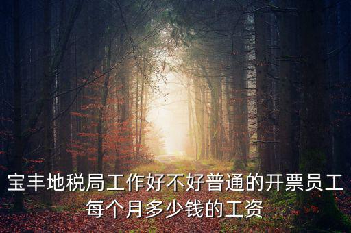 寶豐國稅局局長叫什么，寶豐三分局移動營業(yè)廳地址在哪里
