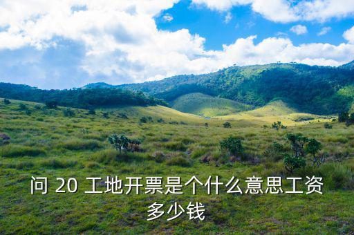 開票界面是指什么意思，會(huì)計(jì)的開票是什么意思