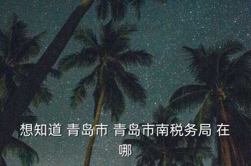 青島稅務(wù)局在什么地方，青島國稅局在什么位置在什么路上