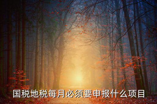 國稅月初申報(bào)什么，國稅地稅每月必須要申報(bào)什么項(xiàng)目