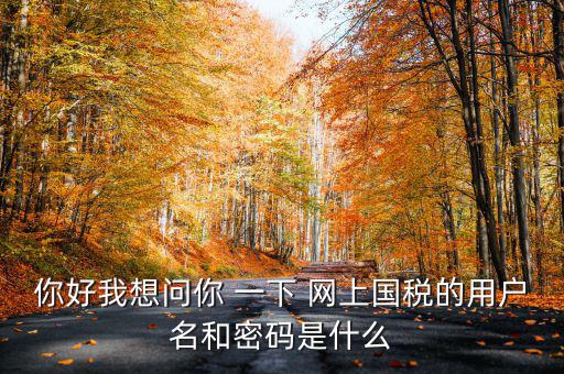 國稅登陸名和密碼是什么意思，國稅第一次網(wǎng)上申報的登陸密碼是什么