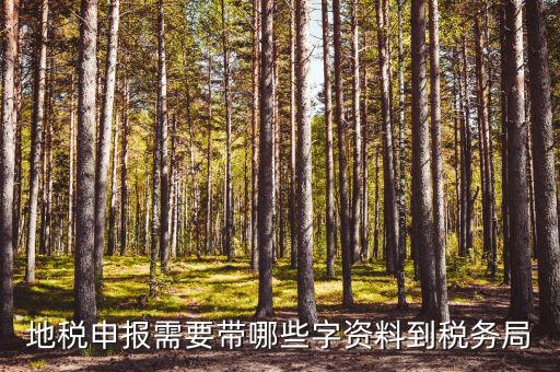 地稅申報需要帶哪些字資料到稅務局