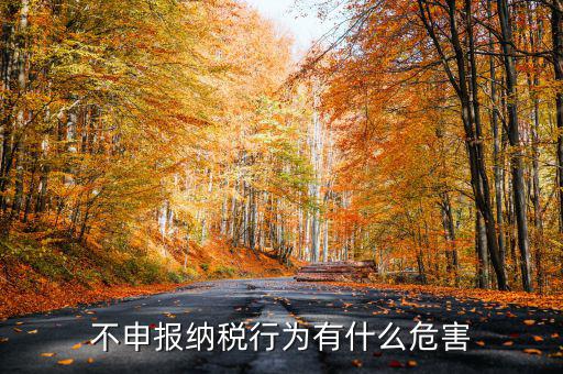 0申報稅沒有報會有什么影響，不申報納稅行為有什么危害