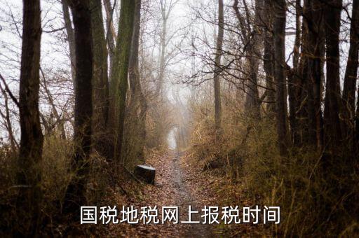 國稅地稅網(wǎng)上報(bào)稅時間