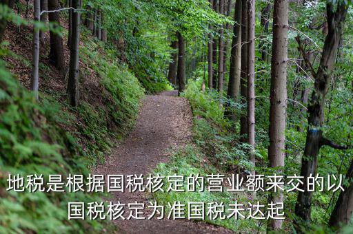 地稅定稅是根據(jù)什么定的，問題國(guó)稅和地稅的定稅依據(jù)是什么