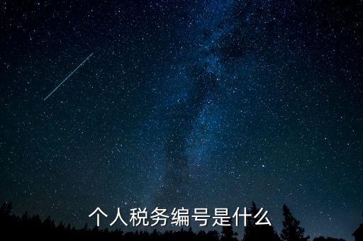 個(gè)人的稅收編號是什么，個(gè)人所得稅里面的注冊編碼是什么