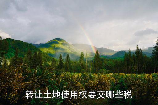 轉(zhuǎn)讓土地使用權(quán)要交什么稅，轉(zhuǎn)讓土地使用權(quán)要交哪些稅