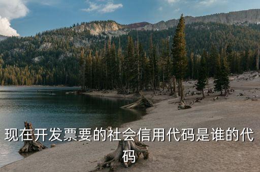 發(fā)票上有社會信用代碼是什么，現(xiàn)在開發(fā)票要的社會信用代碼是誰的代碼