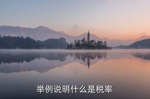 稅率說明是什么意思，稅率是什么意思