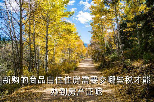 新購的商品自住住房需要交哪些稅才能辦到房產證呢