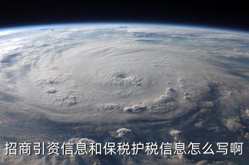 招商引資信息和保稅護(hù)稅信息怎么寫(xiě)啊
