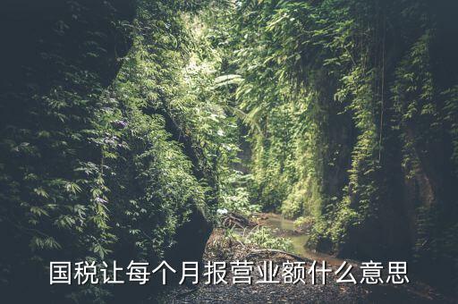 國(guó)稅每月報(bào)稅的是什么意思，請(qǐng)問(wèn)每月抄稅和報(bào)稅各是什么意思