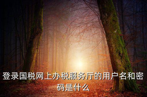 稅務(wù)登陸密碼是什么意思，國稅第一次網(wǎng)上申報的登陸密碼是什么