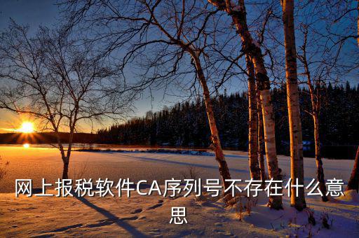 報(bào)稅用的ca是什么意思，去地稅簽三方協(xié)議需要以下東西第四個(gè)CA是什么意思啊