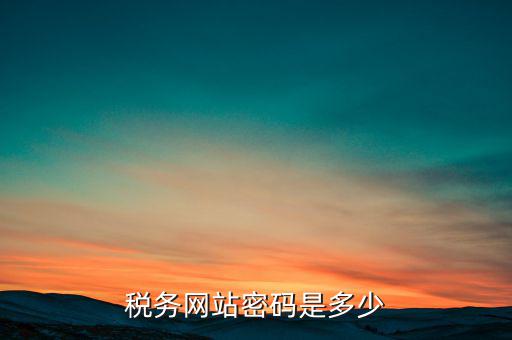 國稅網(wǎng)登錄密碼是什么，稅務局網(wǎng)站的登入賬戶初始密碼是什么