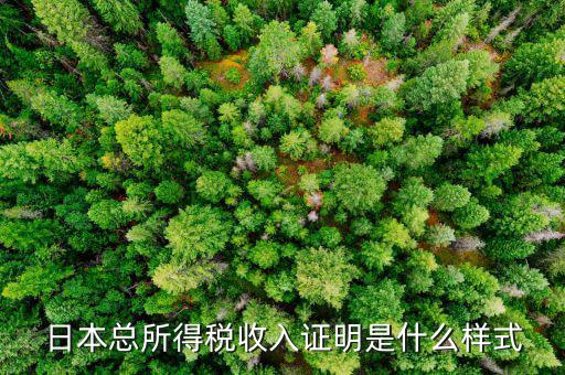 為什么源泉稅是0，請問我們在公司打工開車的也要交個人稅嘛