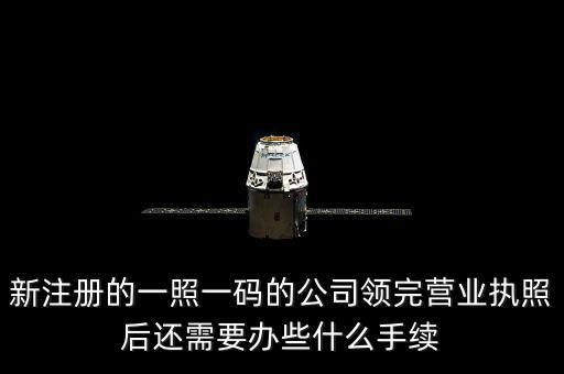 一照一碼后還需辦什么，網(wǎng)上申請一照一碼必須要經(jīng)辦人的U盾嗎