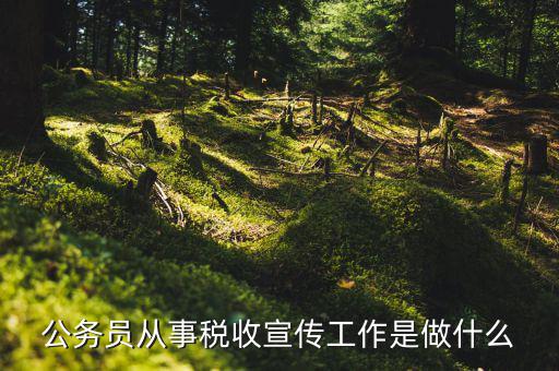 什么是稅收宣傳，公務(wù)員從事稅收宣傳工作是做什么