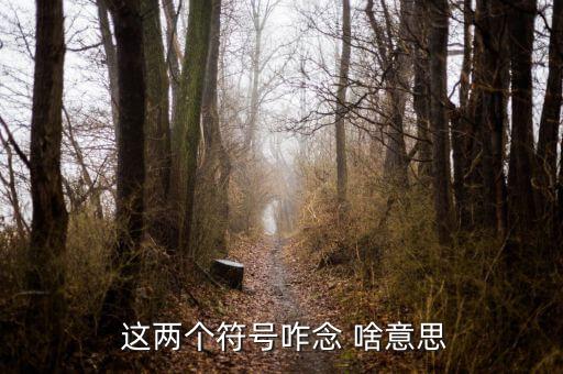 項稅讀音是什么意思，怎么讀是什么意思